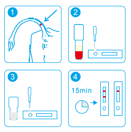 Comment exécuter le kit de test rapide de grossesse de vache Ringbio