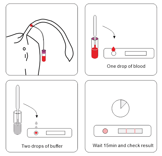 How to run the Ringbio Cow Pregnancy Rapid Test Kit