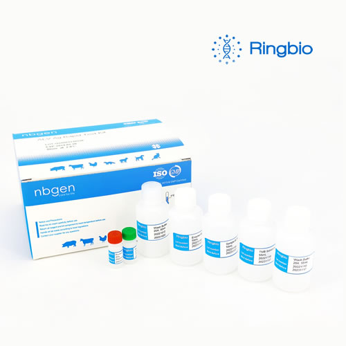 Brucella Antibody Competitive ELISA Kit