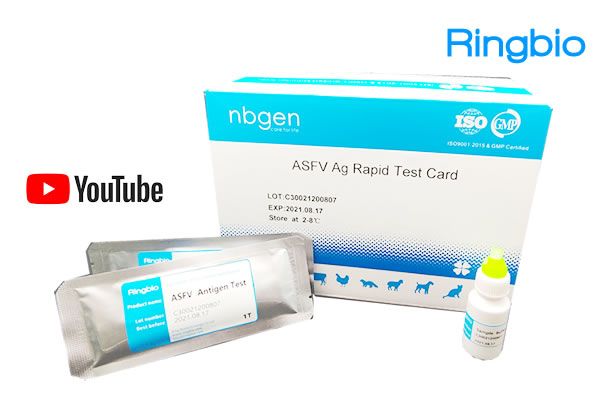 Operation video for Ringbio African Swine Fever Ag Rapid Test Kit uploaded