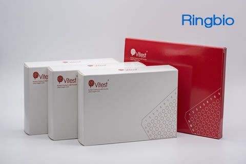 Choline Enzymatic Assay Kit