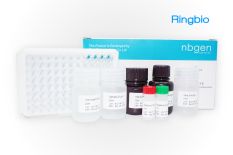 Infectious bovine rhinotracheitis virus IBRV antibody ELISA kit